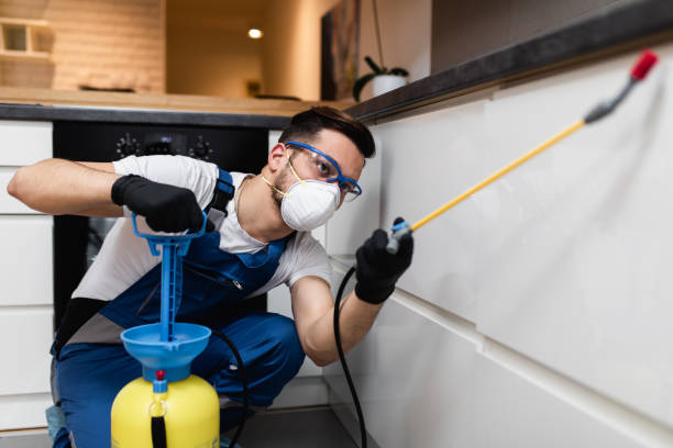 Best Commercial Pest Control Services  in Sicklerville, NJ